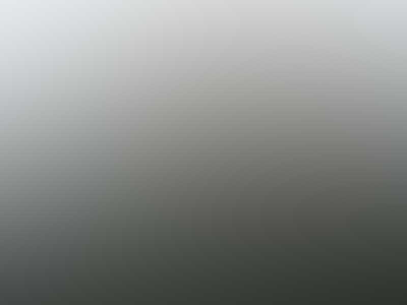 Free Bootstrap Template by uicookies.com